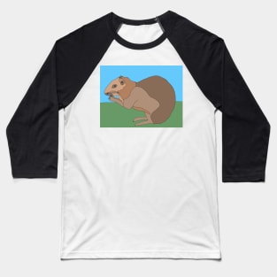 Capybara looking cute! Baseball T-Shirt